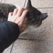 ヒメ日記 2026/02/16 15:49 投稿 ひかる 完熟ばなな札幌・すすきの