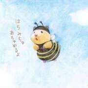 ヒメ日記 2026/02/23 19:09 投稿 ひかる 完熟ばなな札幌・すすきの