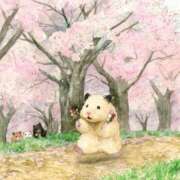 ヒメ日記 2026/03/01 10:47 投稿 ひかる 完熟ばなな札幌・すすきの