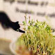 ヒメ日記 2026/03/05 21:47 投稿 ひかる 完熟ばなな札幌・すすきの