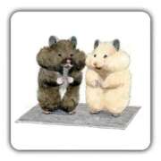 ヒメ日記 2026/03/09 20:29 投稿 ひかる 完熟ばなな札幌・すすきの