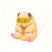 ひかる 気温差‥ 完熟ばなな札幌・すすきの