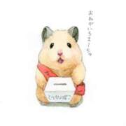 ヒメ日記 2026/05/07 15:19 投稿 ひかる 完熟ばなな札幌・すすきの