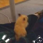ヒメ日記 2026/05/13 20:19 投稿 ひかる 完熟ばなな札幌・すすきの