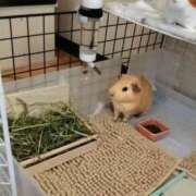 ヒメ日記 2026/09/15 18:49 投稿 ひかる 完熟ばなな札幌・すすきの