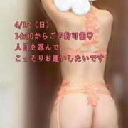 ヒメ日記 2026/04/09 18:42 投稿 黒谷(くろたに) 人妻出逢い会 百合の園 山の手本店