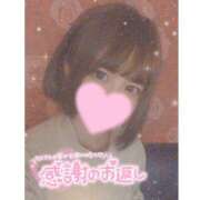 ヒメ日記 2025/05/08 00:17 投稿 あやの 桃李（とうり）