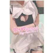 ヒメ日記 2025/05/08 07:54 投稿 あやの 桃李（とうり）