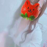 ヒメ日記 2025/04/27 19:01 投稿 まどか 神田はっち