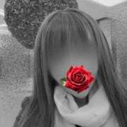 ヒメ日記 2025/05/29 08:37 投稿 椎名 あなたに逢いたくて