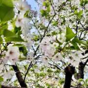 ヒメ日記 2026/03/30 20:12 投稿 カホ AMOUR（アムール）