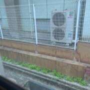 ヒメ日記 2025/05/09 11:19 投稿 ゆうり（花嫁） Yシャツと私