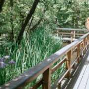 ヒメ日記 2025/05/19 18:03 投稿 杏里 出会い系人妻ネットワーク 上野〜大塚編