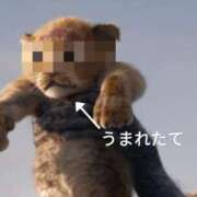 ヒメ日記 2025/05/27 12:45 投稿 杏里 出会い系人妻ネットワーク 上野〜大塚編