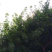 ヒメ日記 2025/06/22 17:02 投稿 杏里 出会い系人妻ネットワーク 上野〜大塚編