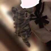 ヒメ日記 2025/11/01 23:47 投稿 るい 池袋千姫