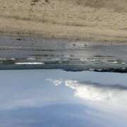 ヒメ日記 2025/07/21 12:00 投稿 吉岡 手コキ専門店「寸止め抜き地獄」