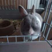 ヒメ日記 2025/06/09 22:25 投稿 ゆうり 熟女の風俗最終章 仙台店