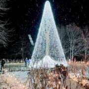 ヒメ日記 2025/06/14 20:34 投稿 ゆうり 熟女の風俗最終章 仙台店