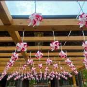 ヒメ日記 2026/07/31 07:14 投稿 ゆうり 熟女の風俗最終章 仙台店