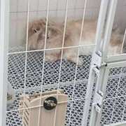 ヒメ日記 2026/02/22 19:10 投稿 光希-みつき 熟女10000円デリヘル 川崎