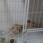 ヒメ日記 2026/02/23 00:33 投稿 光希-みつき 熟女10000円デリヘル 川崎