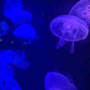 ヒメ日記 2025/08/02 10:42 投稿 じゅんな ハピネス福岡