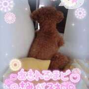 ヒメ日記 2025/07/28 12:16 投稿 珠乃(みの) 人妻城 横浜本店