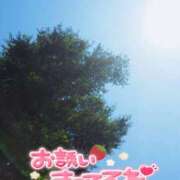 ヒメ日記 2025/08/05 10:13 投稿 珠乃(みの) 人妻城 横浜本店