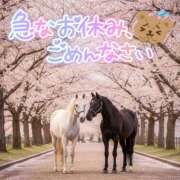 ヒメ日記 2026/01/22 19:41 投稿 珠乃(みの) 人妻城 横浜本店