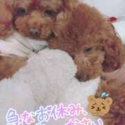 ヒメ日記 2026/01/29 14:23 投稿 珠乃(みの) 人妻城 横浜本店