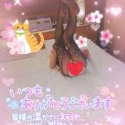 ヒメ日記 2026/02/04 07:22 投稿 珠乃(みの) 人妻城 横浜本店