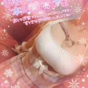 ヒメ日記 2026/02/20 09:04 投稿 珠乃(みの) 人妻城 横浜本店