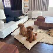 珠乃(みの) 2月のありがとう🤝🏻💐 人妻城 横浜本店