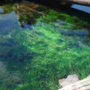 ヒメ日記 2026/05/18 15:18 投稿 珠乃(みの) 人妻城 横浜本店