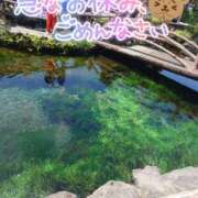 ヒメ日記 2026/07/10 07:17 投稿 珠乃(みの) 人妻城 横浜本店