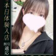 ヒメ日記 2025/04/28 01:48 投稿 まどか One More 奥様　池袋店