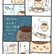 ヒメ日記 2025/05/03 07:55 投稿 ろん アラモード