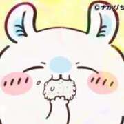 ヒメ日記 2025/05/26 19:26 投稿 ろん アラモード