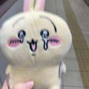 ヒメ日記 2025/05/30 21:14 投稿 ろん アラモード