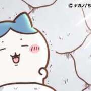 ヒメ日記 2025/06/08 08:36 投稿 ろん アラモード