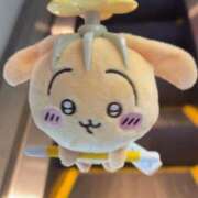 ヒメ日記 2025/06/10 23:34 投稿 ろん アラモード