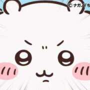 ヒメ日記 2025/06/30 21:59 投稿 ろん アラモード