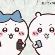 ヒメ日記 2025/07/01 11:41 投稿 ろん アラモード