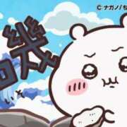 ヒメ日記 2025/07/19 21:39 投稿 ろん アラモード