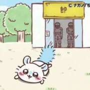 ヒメ日記 2025/07/21 05:58 投稿 ろん アラモード