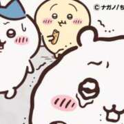 ヒメ日記 2025/08/02 07:23 投稿 ろん アラモード