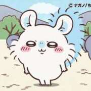 ヒメ日記 2025/08/02 09:02 投稿 ろん アラモード