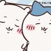 ヒメ日記 2025/08/02 14:09 投稿 ろん アラモード