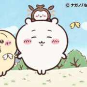 ヒメ日記 2025/08/05 13:12 投稿 ろん アラモード